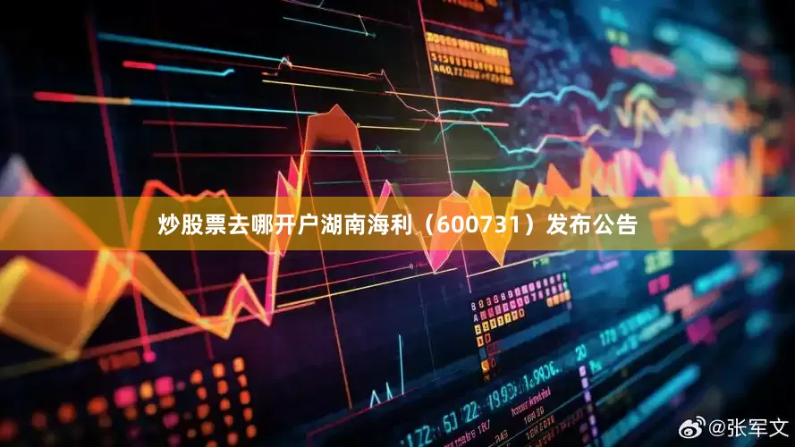 炒股票去哪开户湖南海利（600731）发布公告
