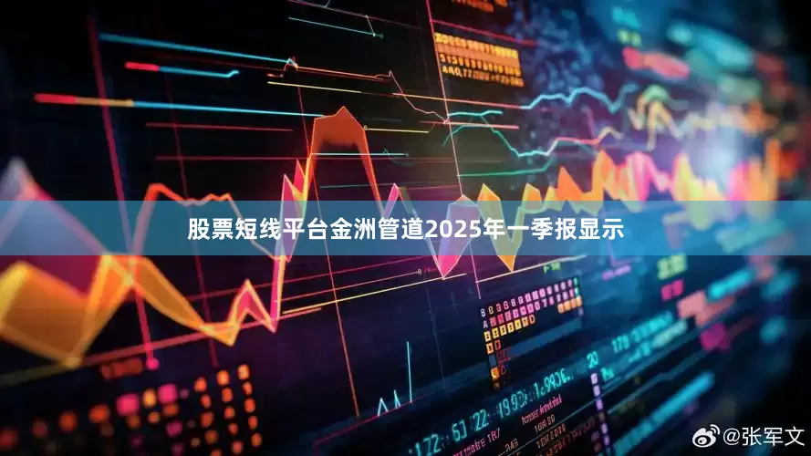 股票短线平台金洲管道2025年一季报显示