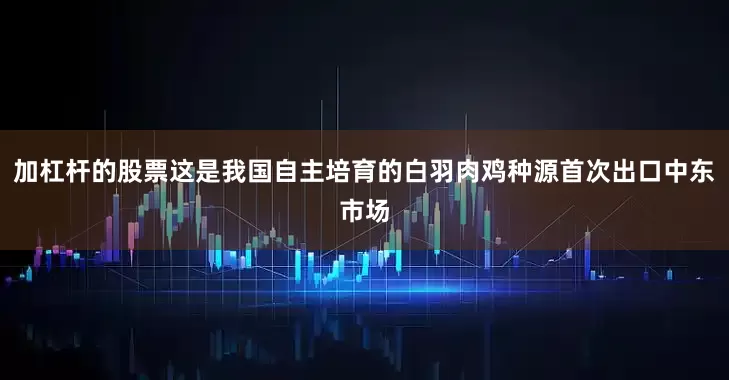 加杠杆的股票这是我国自主培育的白羽肉鸡种源首次出口中东市场
