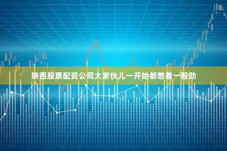 陕西股票配资公司大家伙儿一开始都憋着一股劲