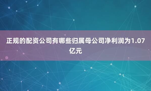 正规的配资公司有哪些归属母公司净利润为1.07亿元